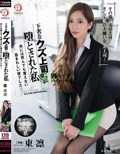 DLDSS-041